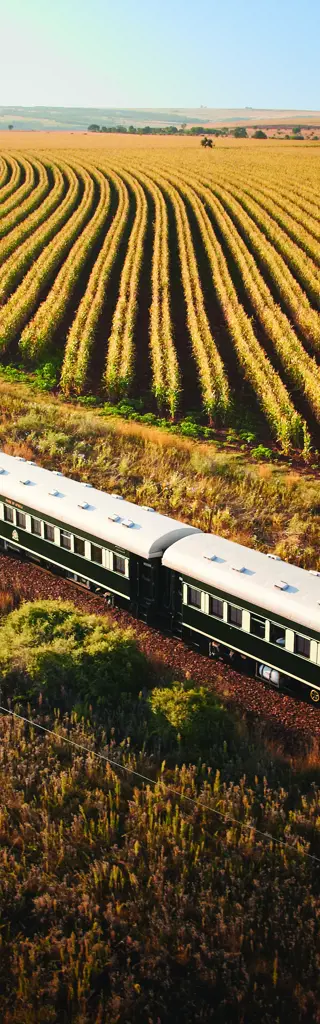 Sonderzugreise - Rovos Rail von Pretoria zu den Viktoriafällen